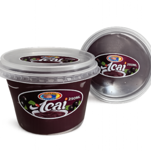 Pote Açaí 250ml
