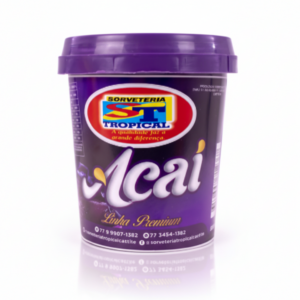 Pote Açaí 500ml